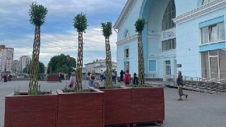 Где пропали ивы в Кирове? Депутаты ищут ответы