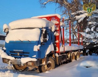 Суд в Кировской области осудил лесорубов на условный срок