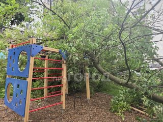 Многолетнее дерево рухнуло на детскую площадку в Кирове, повреждены имущество и инфраструктура
